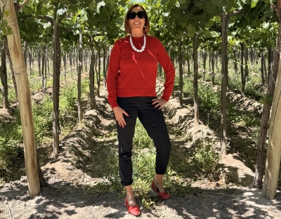 The Colchagua wine region has so much to offer wine lovers.