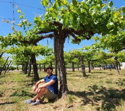 Sometimes you will need to find some shade while on our wine tours.