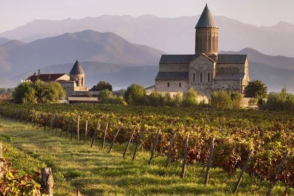 Picturesque vineyard photos offer thermselves in Georgia.