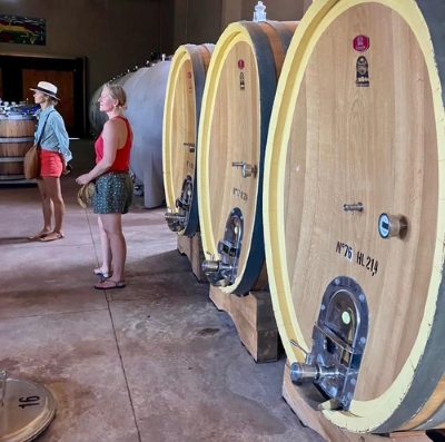 Tours through cellars on the Salta to Mendoza wine road trip.