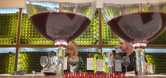 The icon tasting at Viu Manent in Chile is one visitors should try.