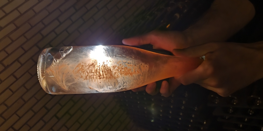 Traditional method sparkling wine from Brazil is very good quality, something that will surprise many!