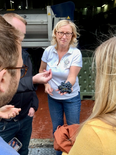 German wine tours are more than just Riesling, although it is a spectacular variety.