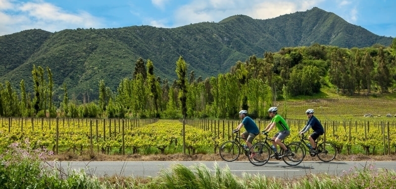 Biking through vineyards is a great way to get to know new wine regions.