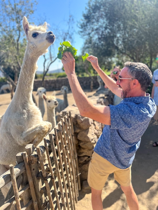 Gary did not expect the Alpaca to be so enthusiastic about vine leaves.