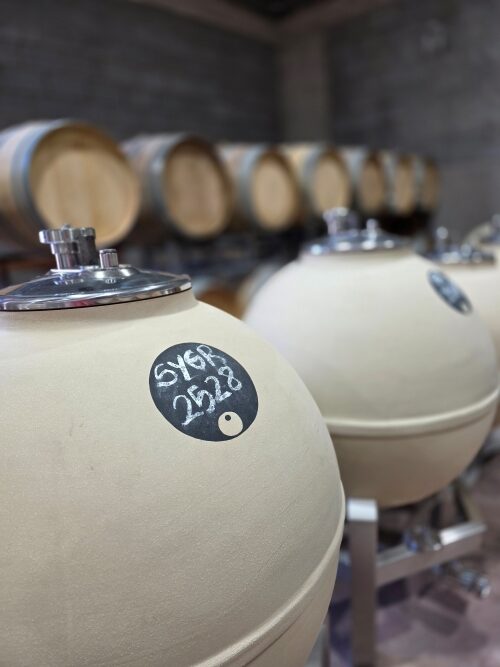 A tour of the Yanay winery will showcase some of the winemaking techniques being employed in the Humahuaca region.