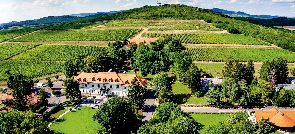 The beautiful Degenfeld castle hotel in Tokaji is a great option for staying among the vines.